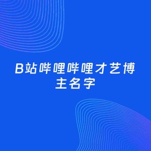 自媒体起名案例：5个好听的「才艺博主B站哔哩哔哩名字」