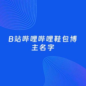 自媒体起名案例：5个好听的「鞋包博主B站哔哩哔哩名字」